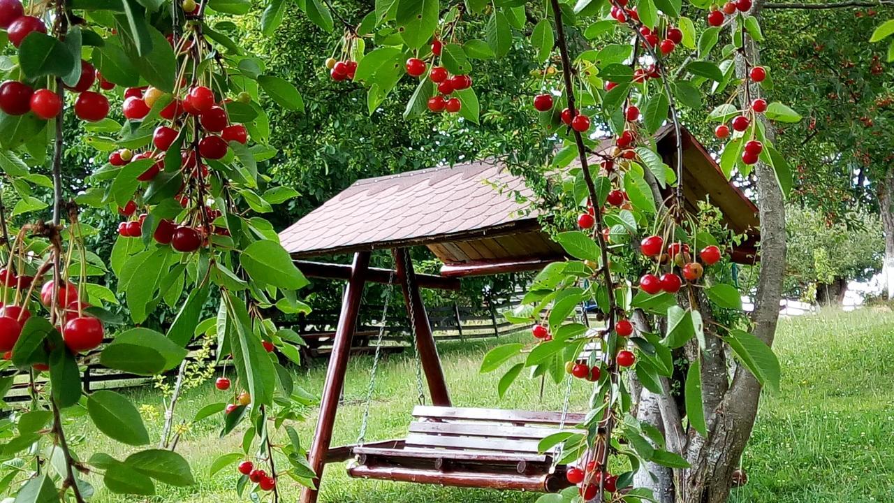 Pensiunea Tabacaru Peştera Exterior foto